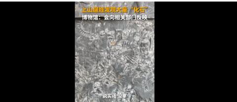 5岁男孩发现5亿年前古生物化石 去年这里发现了寒武纪化石库临沂动物群